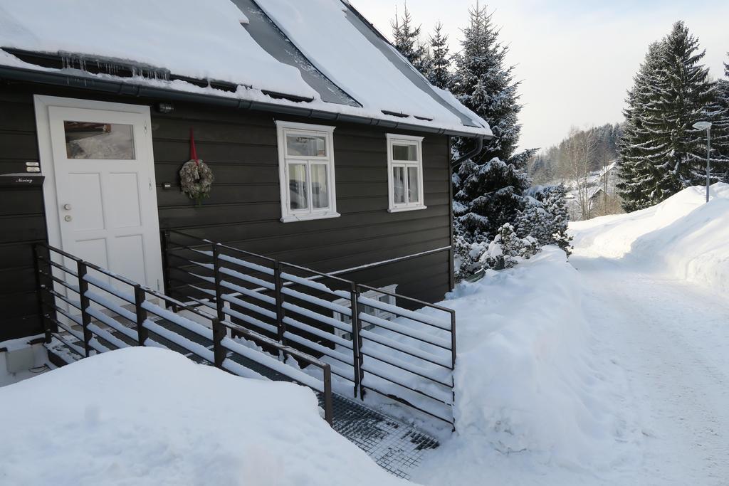 Horska Chata U Vleku Rokytnice nad Jizerou Exterior foto